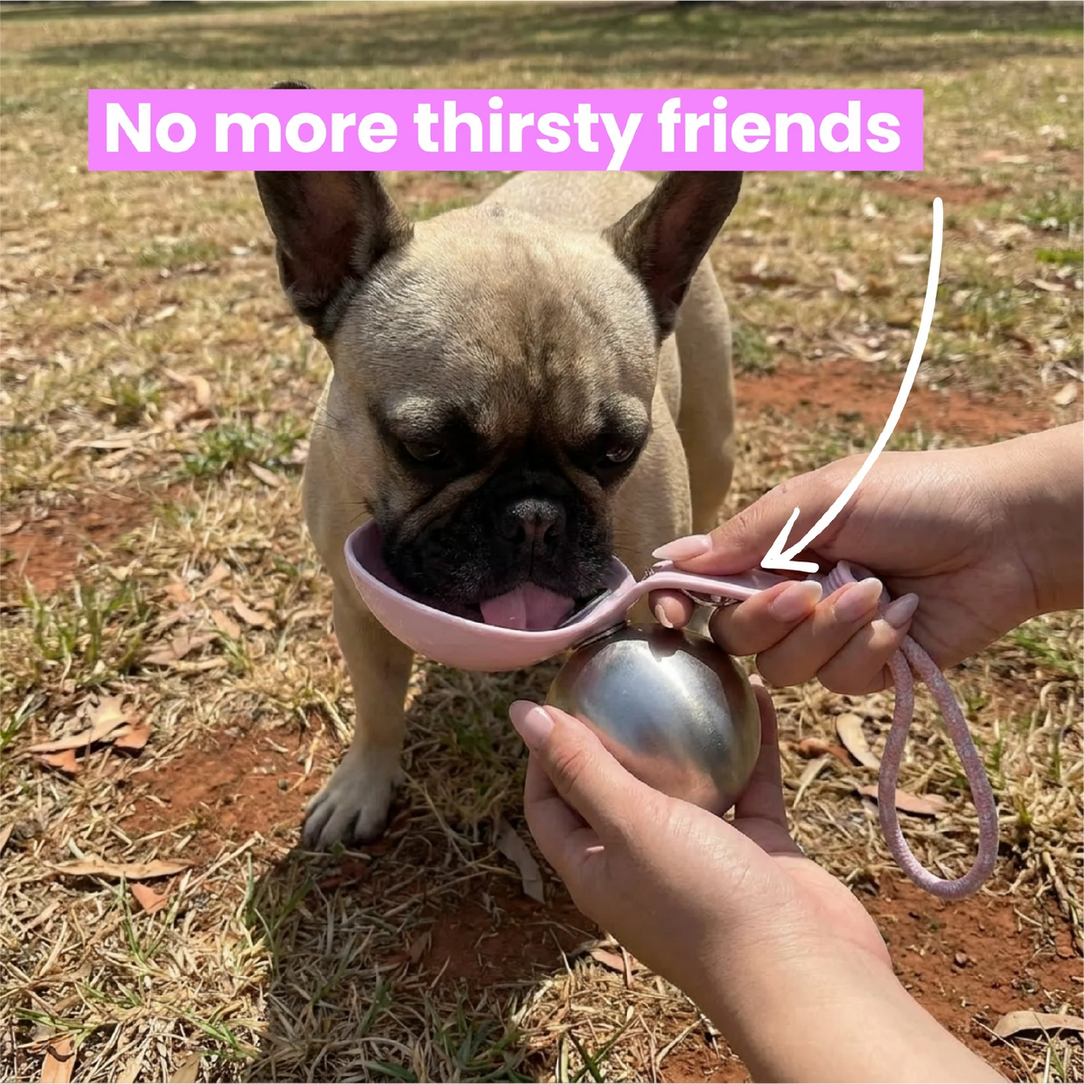 Furlò 2-in-1 Flask