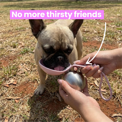 Furlò 2-in-1 Flask