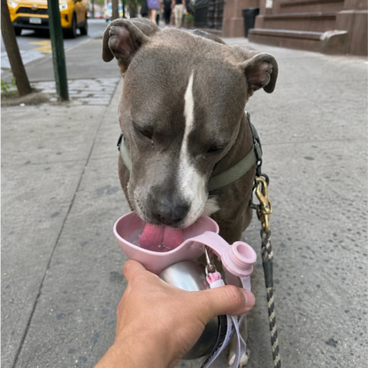 Furlò 2-in-1 Flask